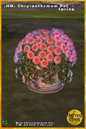.HM. Chrysanthemum Pot - Spring [Add and Click]