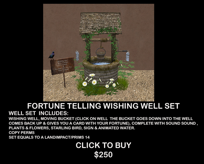 Fortune Telling Wishing Well Set