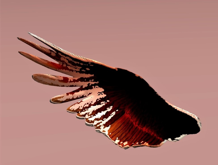 Valkyrie Designed - Hard Caramel Centaur Wing Applier Box