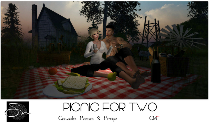 **SN~ Picnic for Two