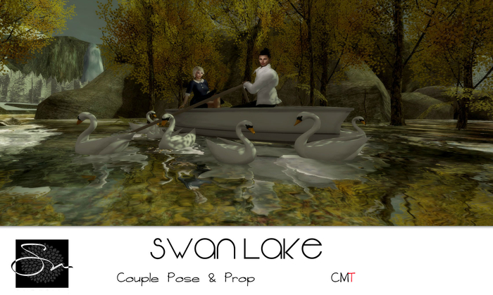 **SN~ Swan Lake