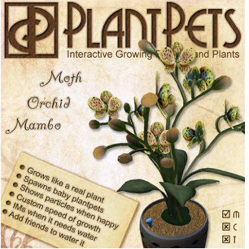 PlantPet Seed [Moth Orchid *Mambo*]