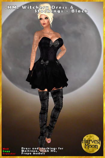 .HM. Witchery Dress & Stockings [Add and Click] Black