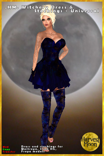 .HM. Witchery Dress & Stockings [Add and Click] Universal