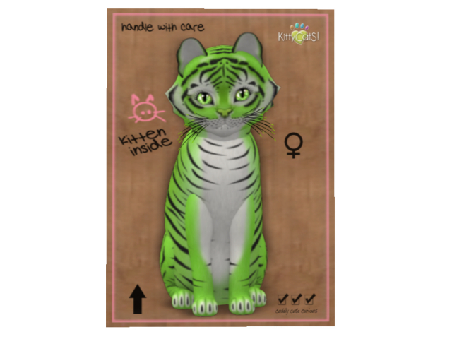 KittyCatS Box - Lucky Tiger Shamrock - St. Paddy's 2018 - 7T -