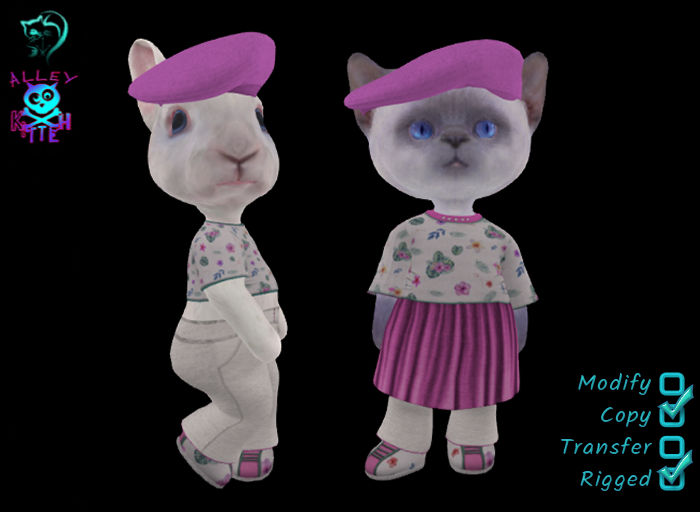 Dinkie Lil Brave Set