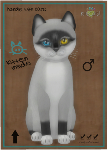 KittyCatS Box - Foxie - Salt & Pepper Mask