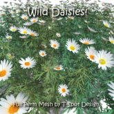 T-Spot Mesh - Wild Daisy - Full Perm - LI=0.5 - 1