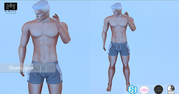 ::TW:: SHORTS grey