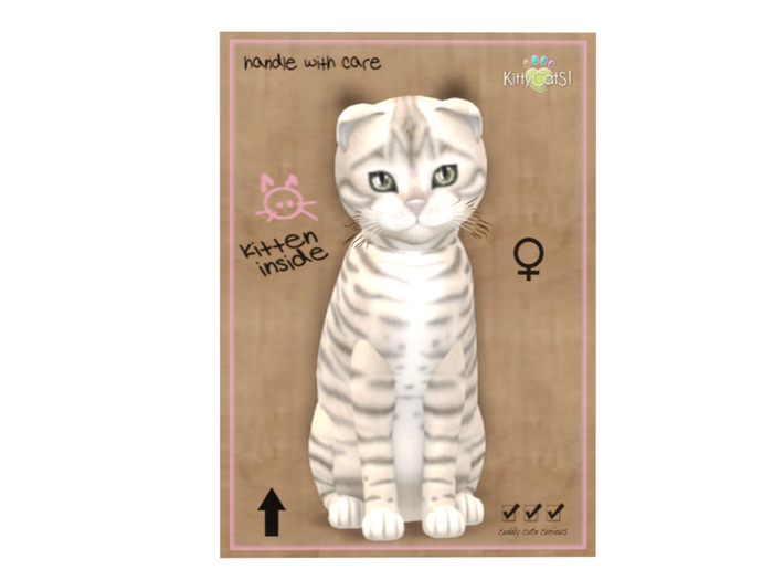 KittyCatS Box - 9 T - F - Toyger - Snow