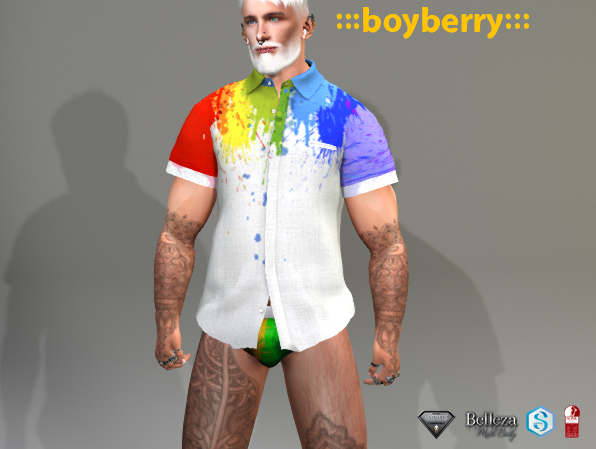 boyberry Painted Pride