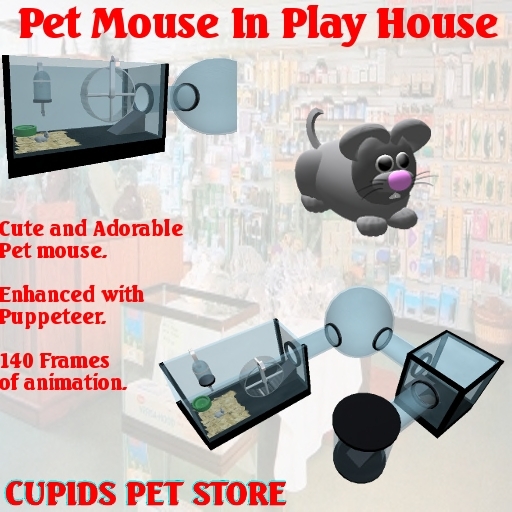 Pet Mouse In Play House