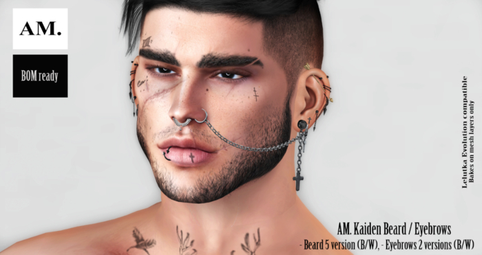 AM. - Kaiden Beard // Eyebrows Fullpack