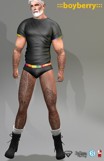 boyberry Pride Politi