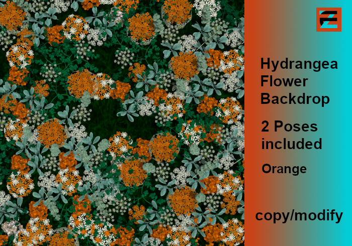 EZZY Hydrangea Flower Backdrop Orange Set  + 2 Poses