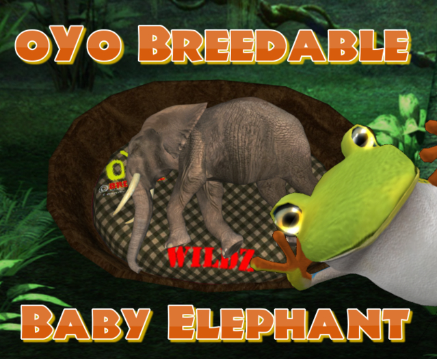 oYo Breedable Elephant Bundle: M Baby Pink w/Brown Eyes WILD