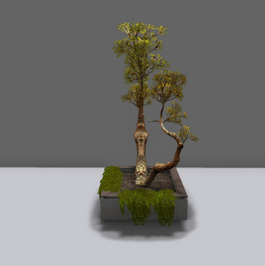 Planter with tree and hanging ivy 