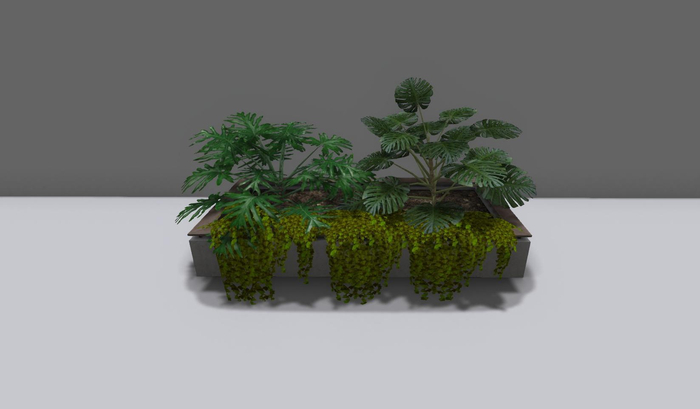 Planter with hanging ivy and  philodendron 