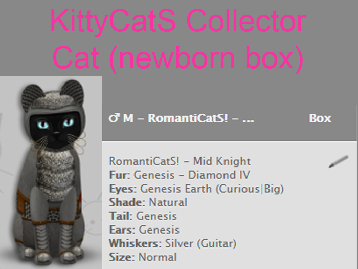 KittyCatS Box - M - RomantiCatS! - Mid Knight