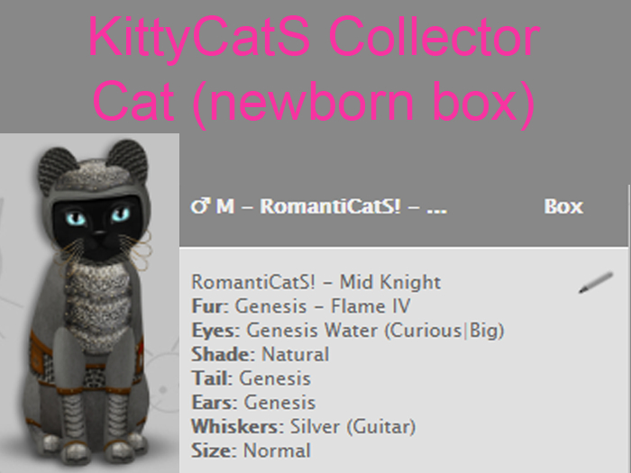 KittyCatS Box - M - RomantiCatS! - Mid Knight