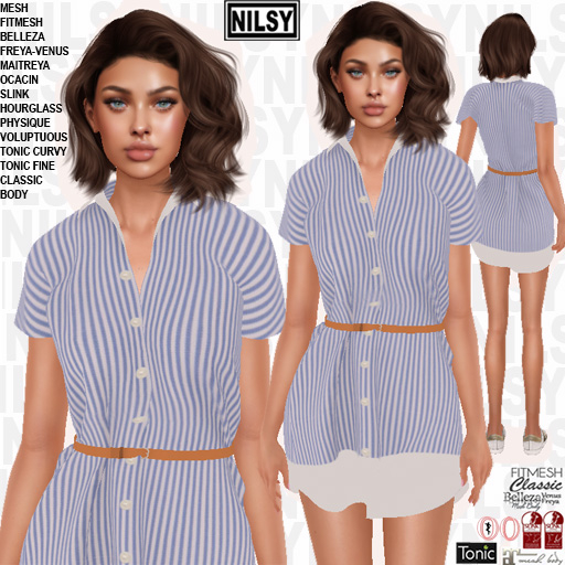 SHIRT DRESS,ALL BODIES