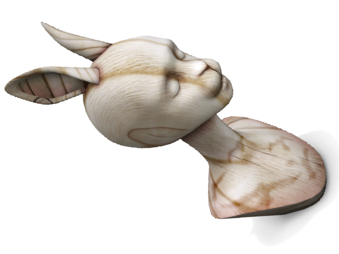 {-MK-} mannequin_Rabbit (White/1Li)