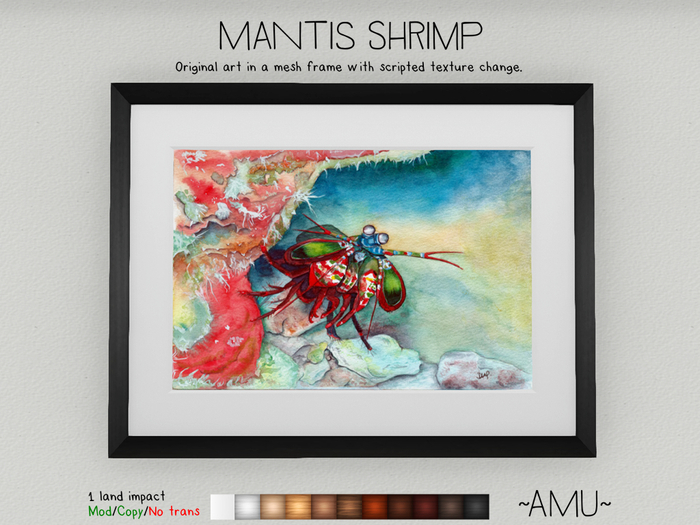 ~AMU~ Mantis Shrimp - framed original painting