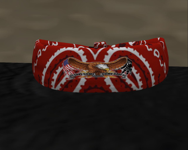 ALL GAVE SOME  BANDANNA
