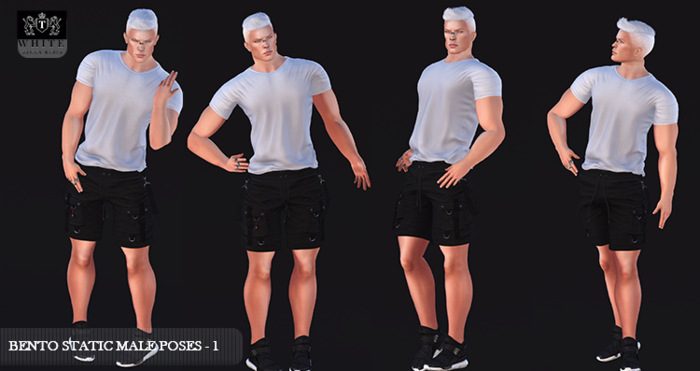 ::TW::BENTO STATIC MALE POSES - 1