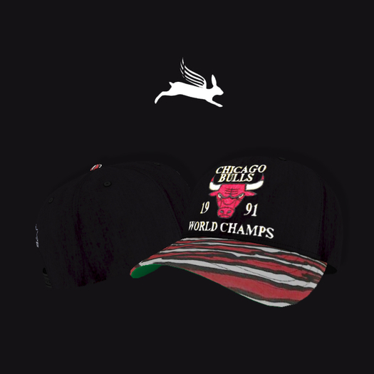 AxH - Bulls Zubaz Snapback