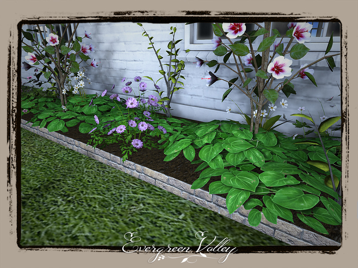EV - Flower Bed Charming Purple