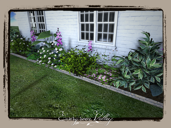 EV - Flower Bed Forever Pink