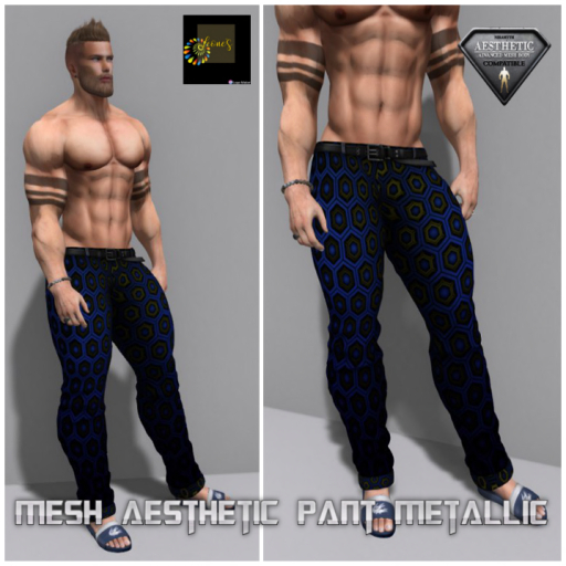 Metallic Jeans AESTHETIC