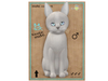 9%20t%20 %20m%20 %20abyssinian%20 %20platinum%20 %20cabbits 001