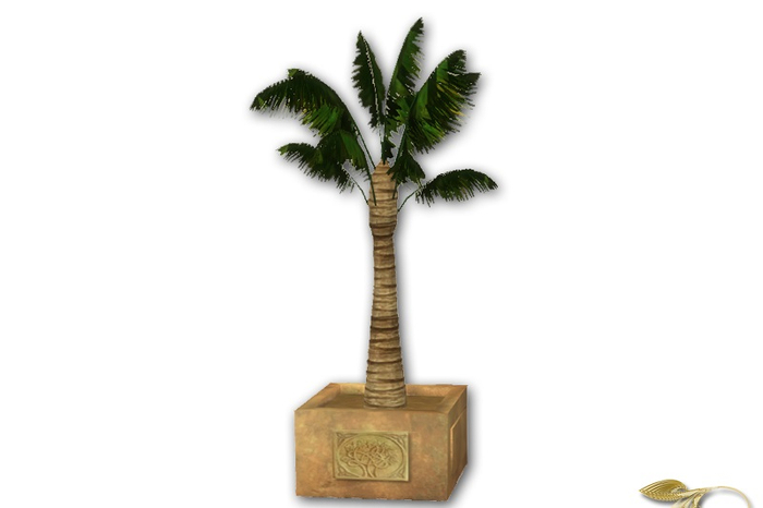 Groot Elegant Palm Full perm