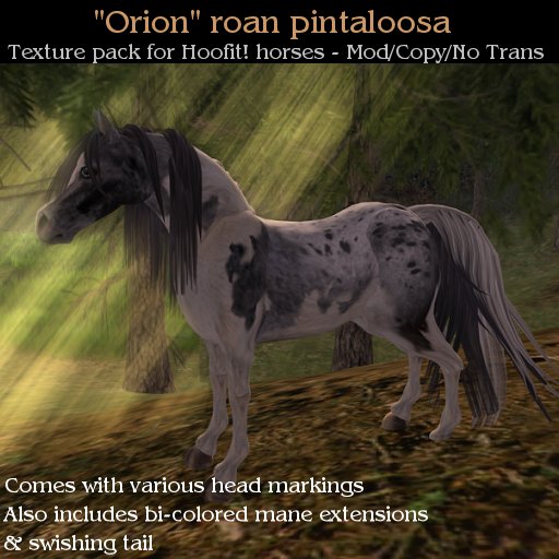 Orion - Roan Pintaloosa  Texture Pack w/ Mane & Tail for Hoofit horses