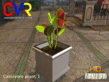 Carnivorous plant - 1 in a pot 1 box