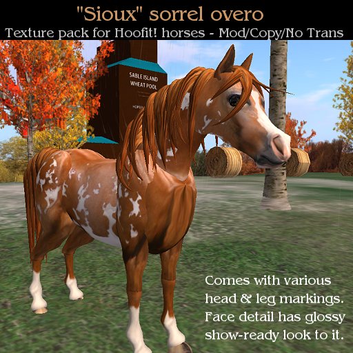 Sioux - Sorrel Overo Texture Pack for Hoofit horses