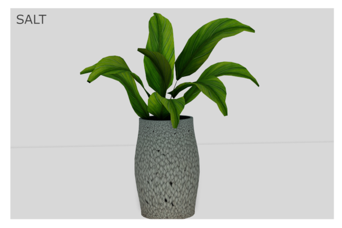 [SALT] - Potted Plant [add me]