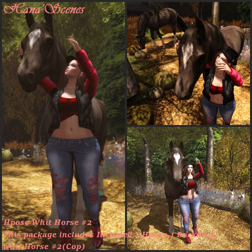 "Hpose Whit Horse #2