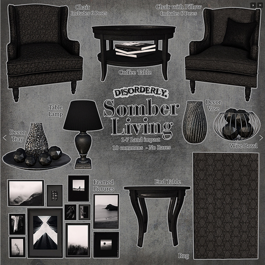 DISORDERLY. / Somber Living / Framed Pictures