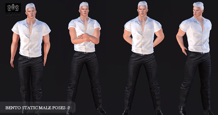 ::TW::BENTO STATIC MALE POSES - 2