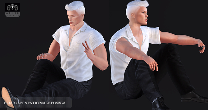 ::TW::BENTO SIT STATIC MALE POSES-3