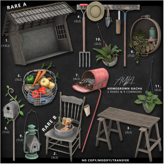 1. Ayla. Homegrown - Shed RARE