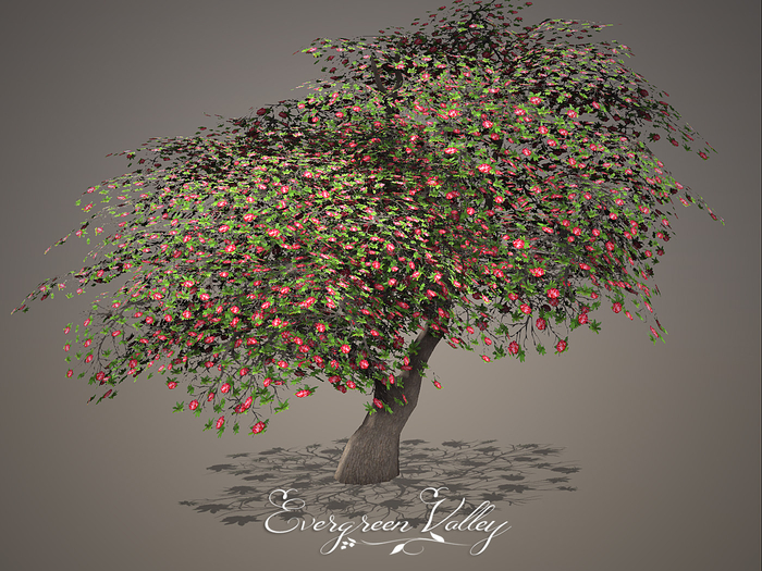 Tree Rhodondendron Red