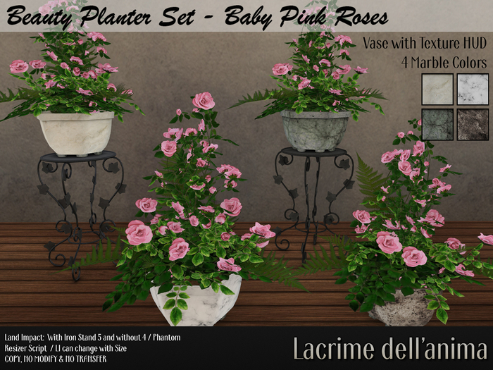Beauty Planter Set - Baby Pink Roses