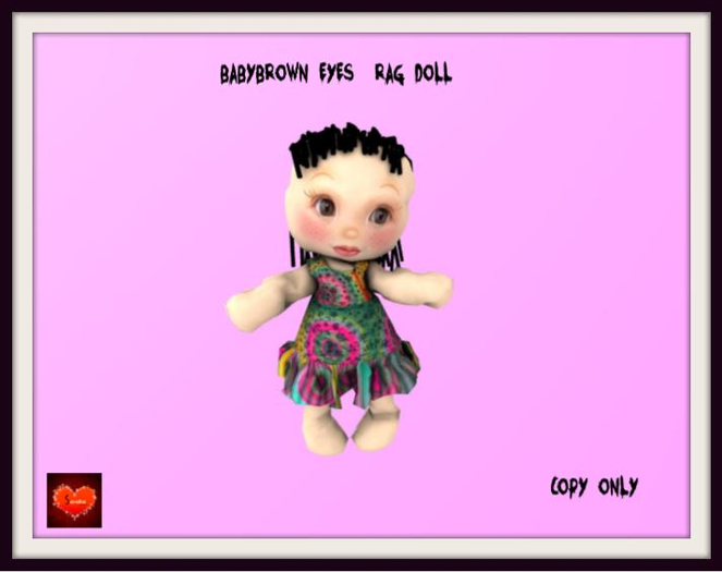 baby brown eyes Rag doll