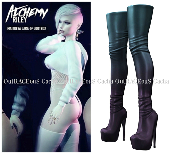 Foxes - Riley - Lara - Boots- Ombre 4