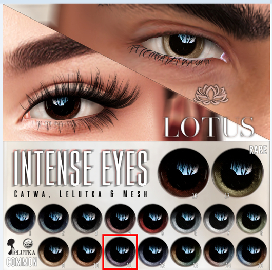 LOTUS. Intense Eyes 11 BOX