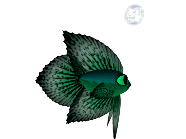 (7S) UltraRare Fish: Jewel Shift Betta